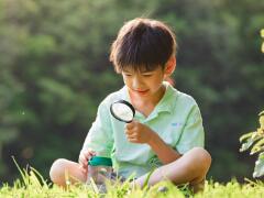 屬龍男孩最吉利的小名：好聽易讀/大氣可愛（2024精選）