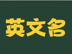 好聽(tīng)很酷的英文名字：潮流時(shí)尚有個(gè)性(Sun太陽(yáng)/Camila卡米拉)